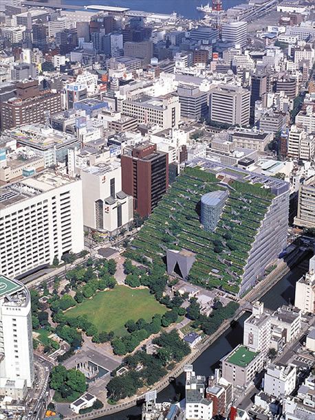 Зеленые крыши (13 фото) Зеленые крыши (13 фото)