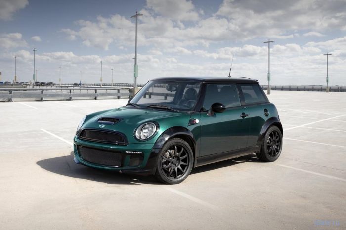   TopCar  MINI Cooper S Bully (19 )