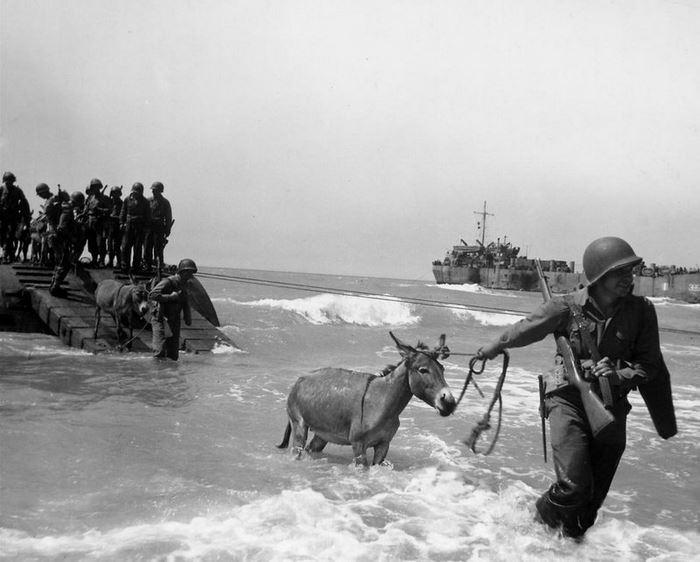 10 невероятных фактов о Второй мировой (14 фото) 10 невероятных фактов о Второй мировой (14 фото)