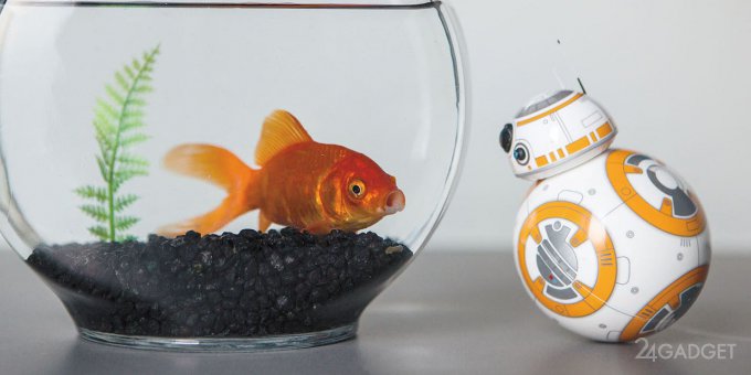  BB-8   Star Wars (14  + )