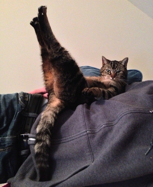 ,     (38 )