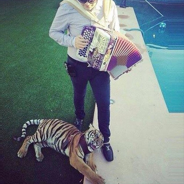 Instagram    (24 )