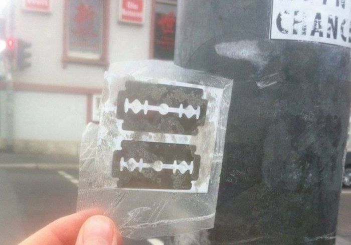     (3 )