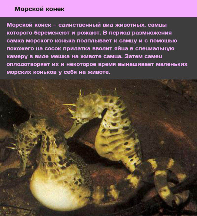 -10      (10 )