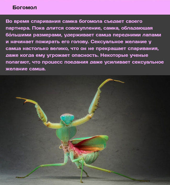 -10      (10 )