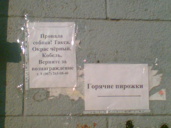    (2 )