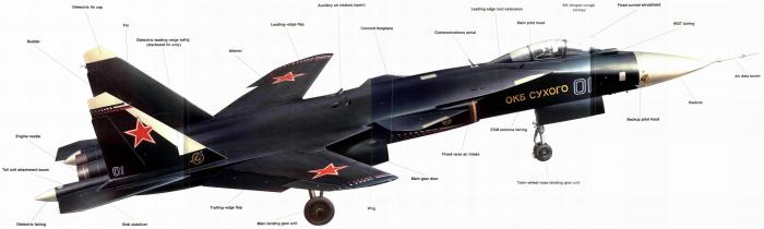 Самый загадочный истребитель Российской авиации (8 фото) Самый загадочный истребитель Российской авиации (8 фото)