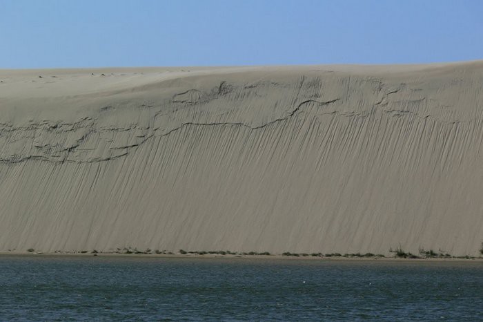 Куршская коса (13 фото) Куршская коса (13 фото)