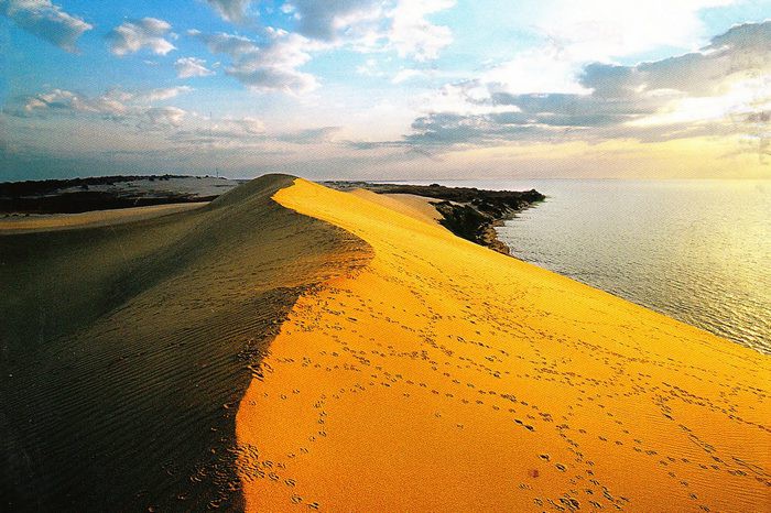 Куршская коса (13 фото) Куршская коса (13 фото)
