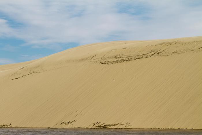 Куршская коса (13 фото) Куршская коса (13 фото)
