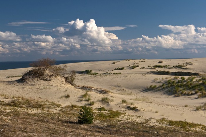 Куршская коса (13 фото) Куршская коса (13 фото)