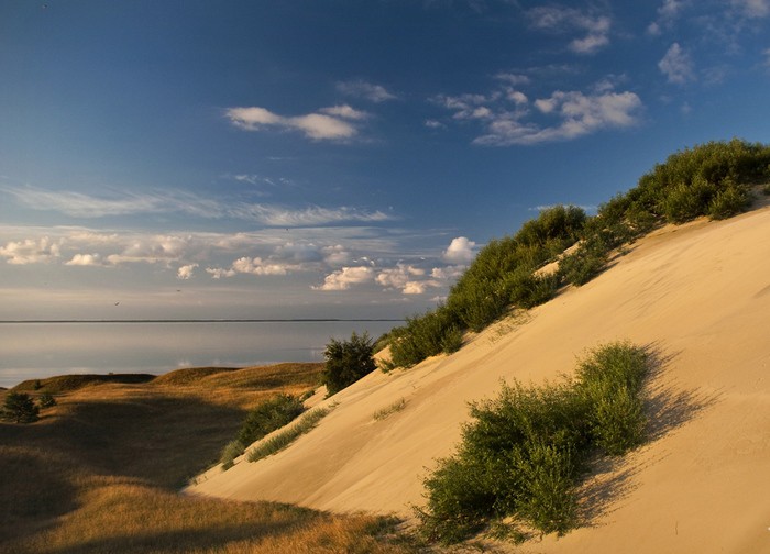 Куршская коса (13 фото) Куршская коса (13 фото)