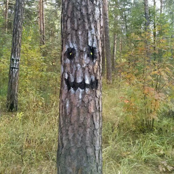 Жуткая шутка (3 фото) Жуткая шутка (3 фото)