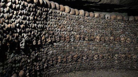 Самые страшные находки в мире (6 фото) Самые страшные находки в мире (6 фото)