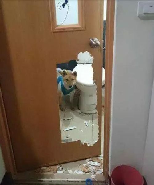,    (3 )