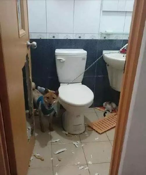 ,    (3 )