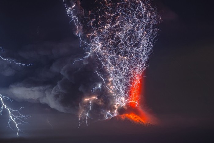   National Geographic Photo Contest 2015 (23 )