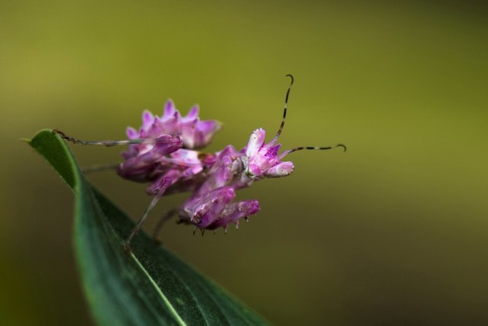   National Geographic Photo Contest 2015 (23 )