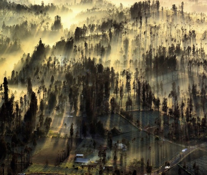   National Geographic Photo Contest 2015 (23 )