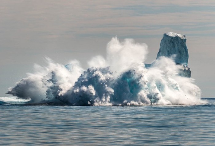   National Geographic Photo Contest 2015 (23 )