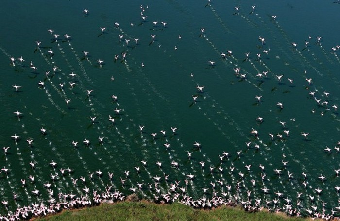   National Geographic Photo Contest 2015 (23 )