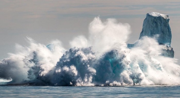  National Geographic Photo Contest 2015 (23 )