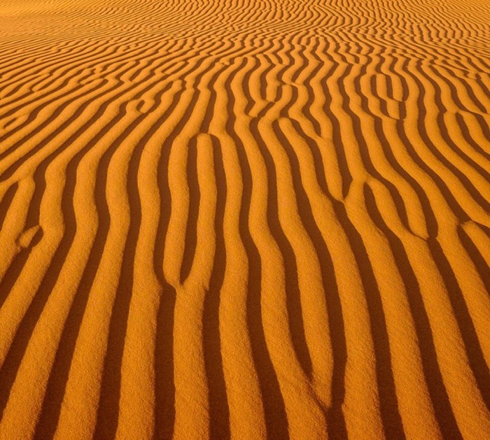   National Geographic Photo Contest 2015 (23 )