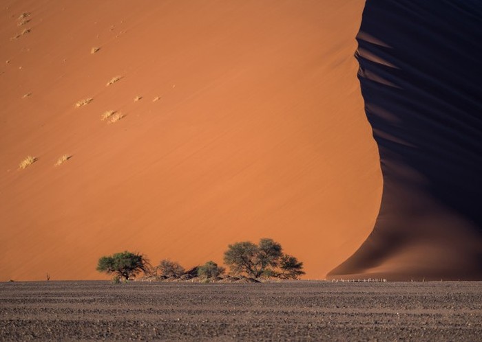   National Geographic Photo Contest 2015 (23 )