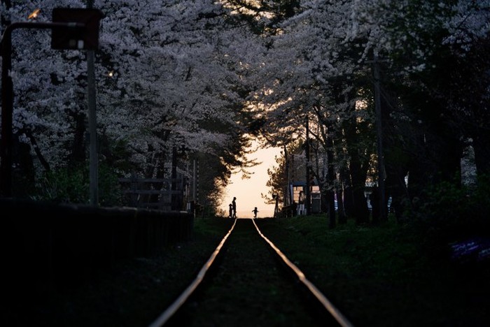   National Geographic Photo Contest 2015 (23 )