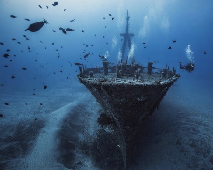   National Geographic Photo Contest 2015 (23 )