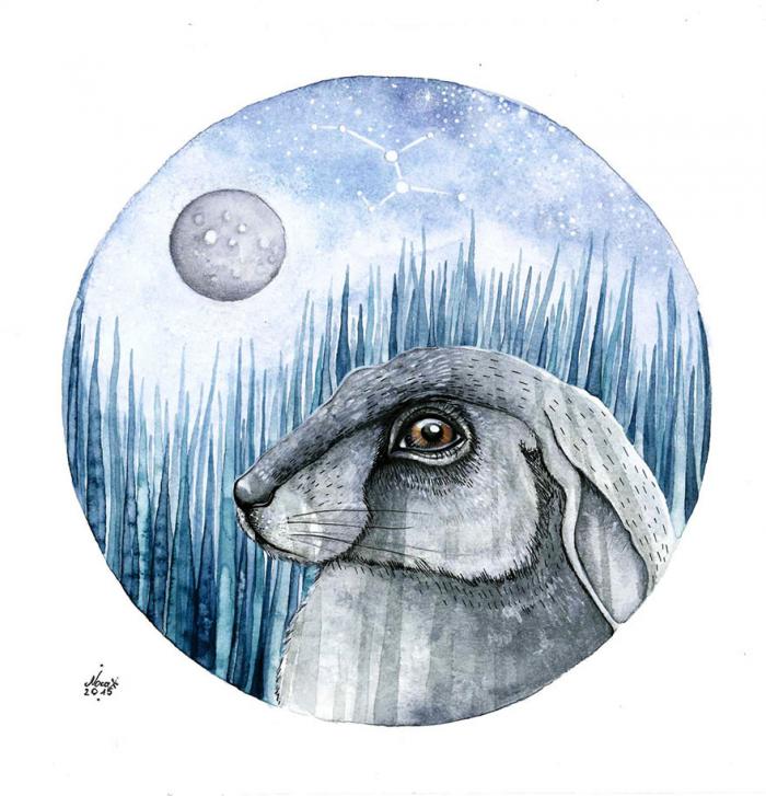     (14 )