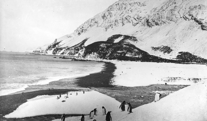 Обреченная антарктическая экспедиция (20 фото) Обреченная антарктическая экспедиция (20 фото)