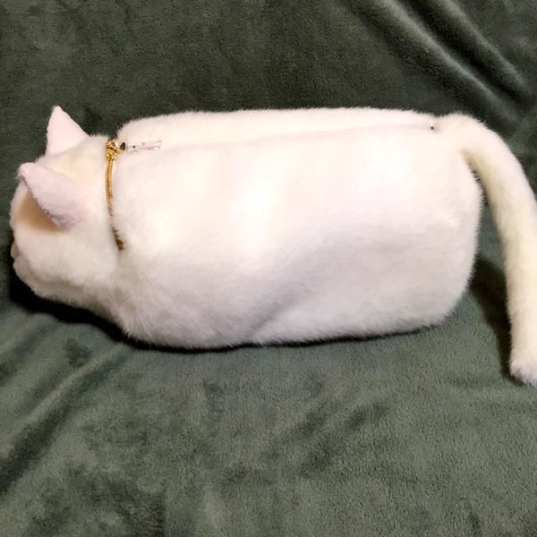         (10 )