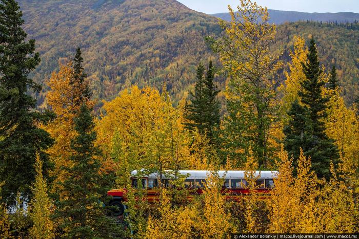 Как выжить на Аляске (14 фото) Как выжить на Аляске (14 фото)