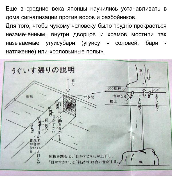       (4 )