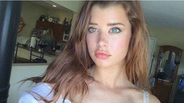       (19 )
