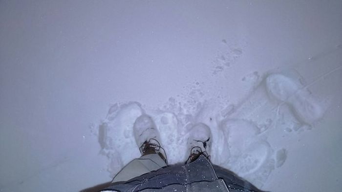        (13 )