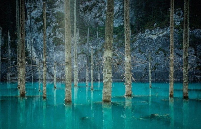        National Geographic (20 )