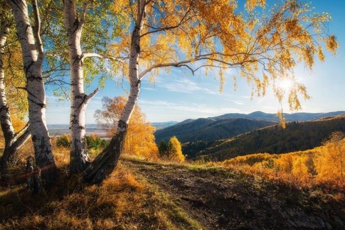        National Geographic (20 )