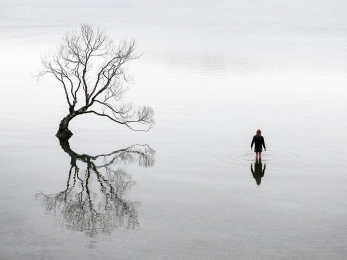        National Geographic (20 )