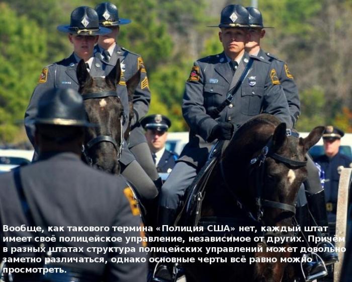 10 фактов о полиции США (10 фото) 10 фактов о полиции США (10 фото)