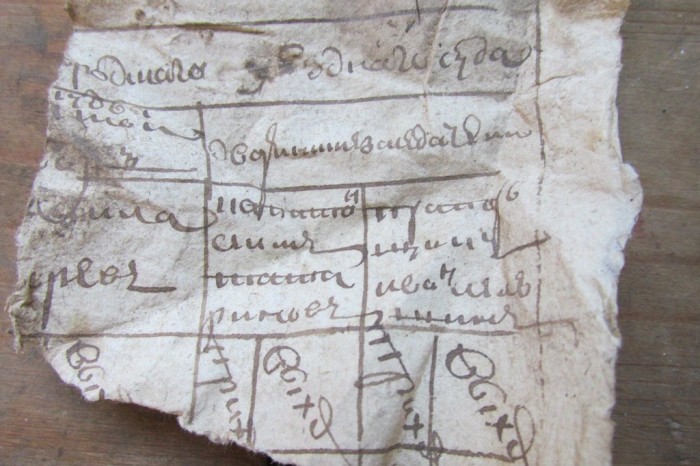 «Птичий архив» под крышей Успенского собора (48 фото) «Птичий архив» под крышей Успенского собора (48 фото)