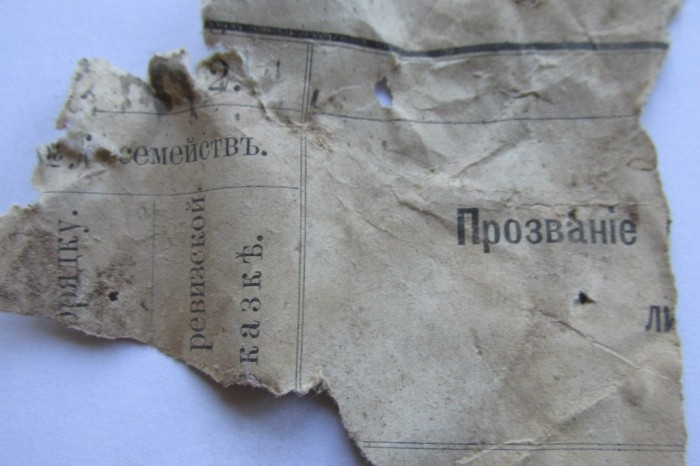 «Птичий архив» под крышей Успенского собора (48 фото) «Птичий архив» под крышей Успенского собора (48 фото)