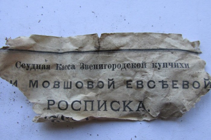 «Птичий архив» под крышей Успенского собора (48 фото) «Птичий архив» под крышей Успенского собора (48 фото)