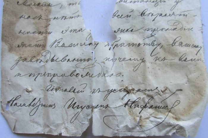 «Птичий архив» под крышей Успенского собора (48 фото) «Птичий архив» под крышей Успенского собора (48 фото)