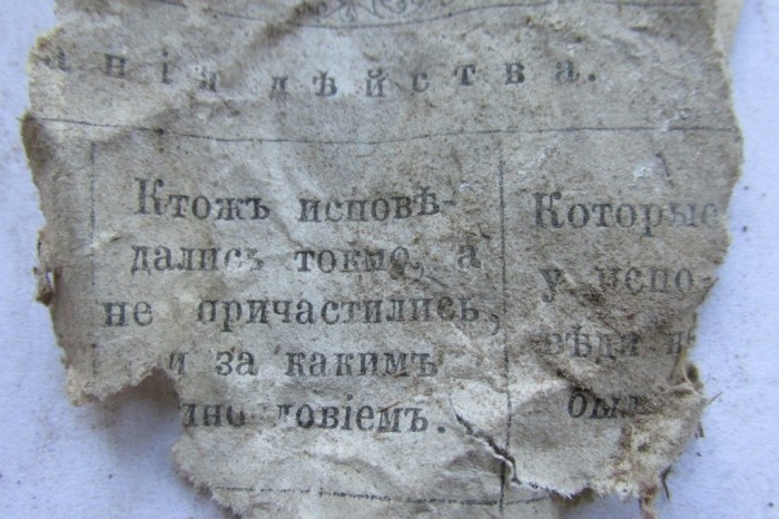 «Птичий архив» под крышей Успенского собора (48 фото) «Птичий архив» под крышей Успенского собора (48 фото)