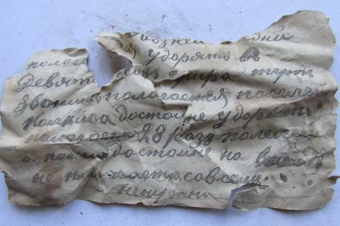 «Птичий архив» под крышей Успенского собора (48 фото) «Птичий архив» под крышей Успенского собора (48 фото)