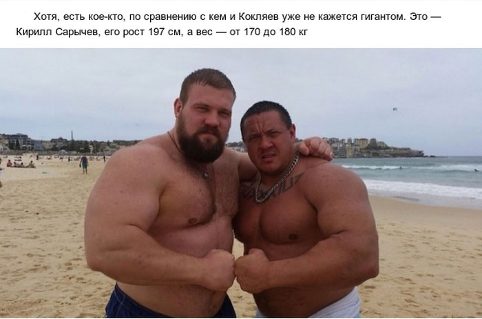  ,   (13 )
