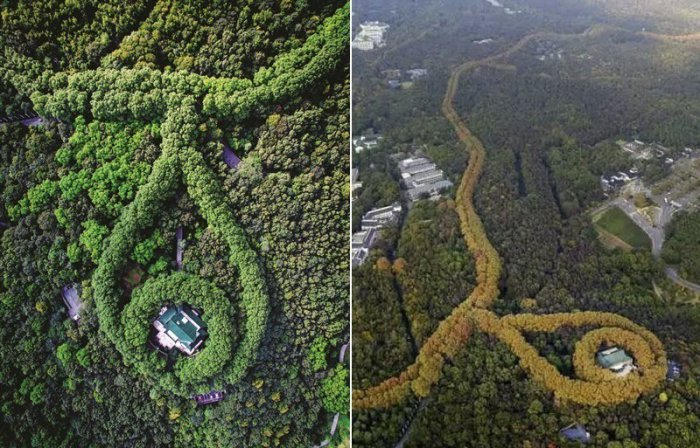 Дворец Мэйлин в виде ожерелья (7 фото) Дворец Мэйлин в виде ожерелья (7 фото)