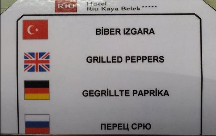     G20 (4 )